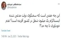 بلوا بر سر مشاغل اینستاگرامی؛ پاسخ واکنش‌برانگیز میرسلیم به ربیعی