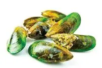 صدف لبه سبز؛ شاهکار طبیعت برای درمان آرتروز و آسم
