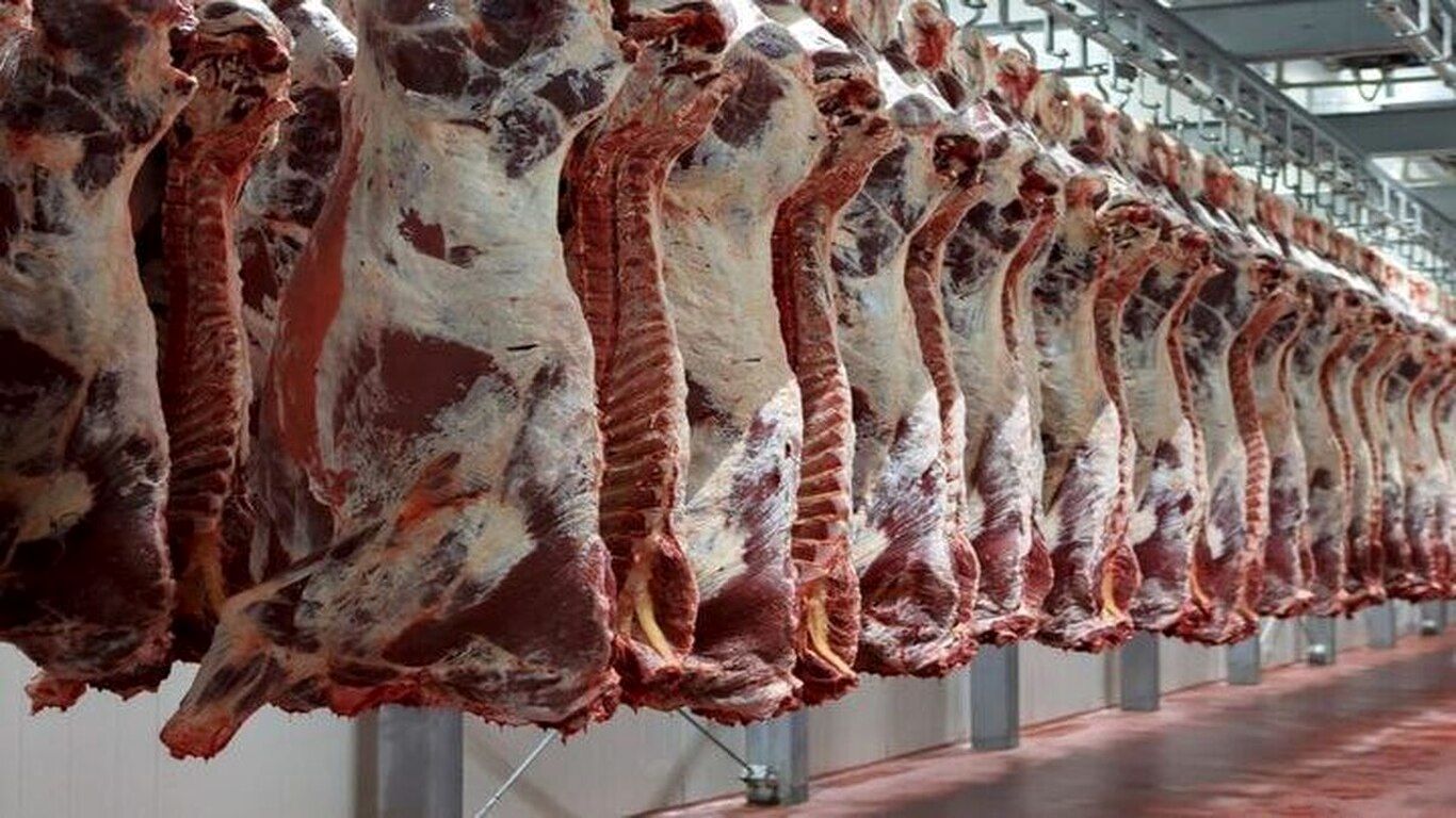 مصرف سالانه گوشت مردم جیبوتی ۳ و نیم برابر هر ایرانی است