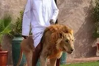 تصاویر/ حیوانات خانگی عجیب در امارات!