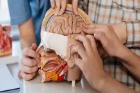 ۸ واقعیت شگفت انگیز درباره بدن که نمی‌دانستید!