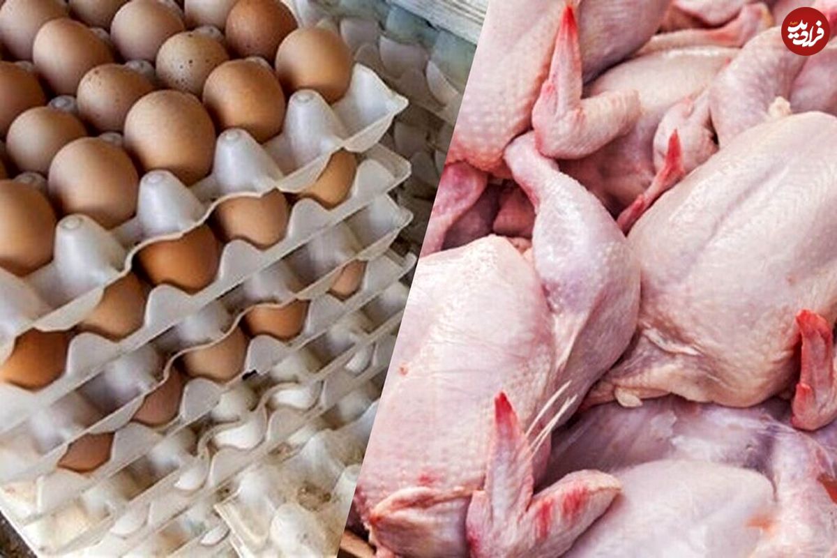 جدیدترین قیمت مرغ و تخم‌مرغ در میادین؛ هر شانه ۳۰ عددی و هر کیلو مرغ چند؟