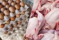 جدیدترین قیمت مرغ و تخم‌مرغ در میادین؛ هر شانه ۳۰ عددی و هر کیلو مرغ چند؟
