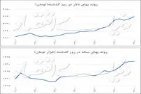 سکه و دلار رکورد زدند