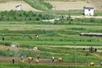 روز انتخابات کره شمالی؛ روزی که نباید کسی بمیرد!