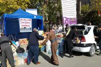 نقش دولت‌ها در حمایت‌های مردمی