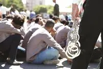 ۲۴ ساعت عملیات برای بازداشت ١٠١ سارق