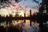 تصاویری از وین