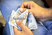 بازارساز به دنبال مهار دلار
