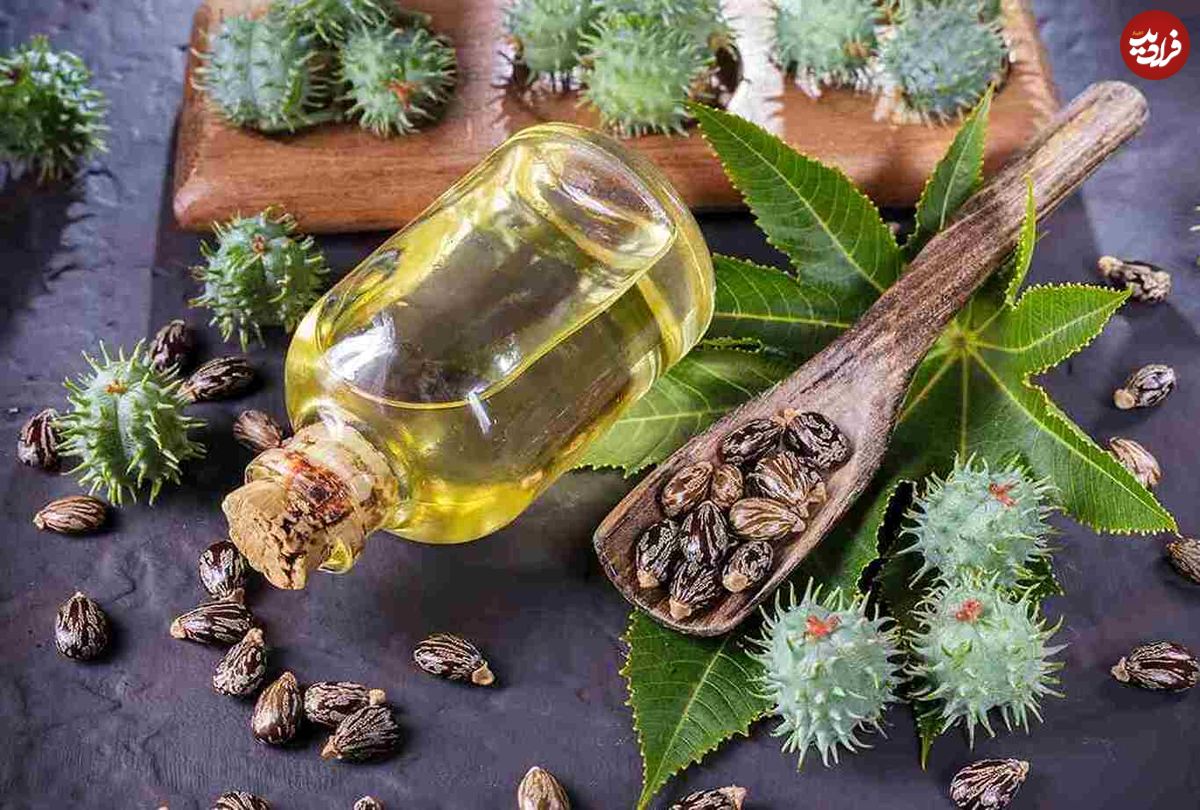 خواص خارق‌العاده روغن کرچک برای سلامتی