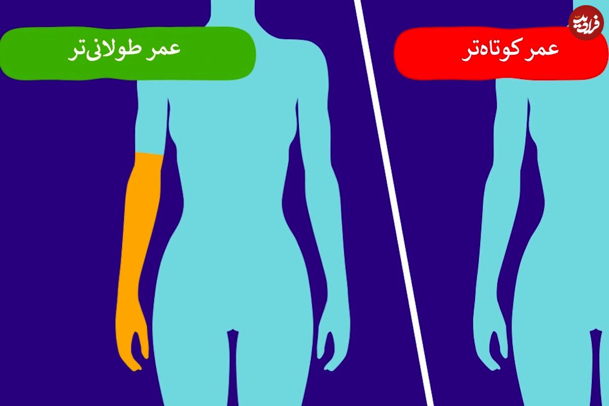 ۸ واقعیت درباره بدن شما که نشان می‌دهد عمر طولانی‌تری خواهید داشت