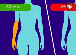 ۸ واقعیت درباره بدن شما که نشان می‌دهد عمر طولانی‌تری خواهید داشت