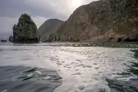 فاجعه زیست‌محیطی در روسیه؛ آبزیان مرده در سواحل