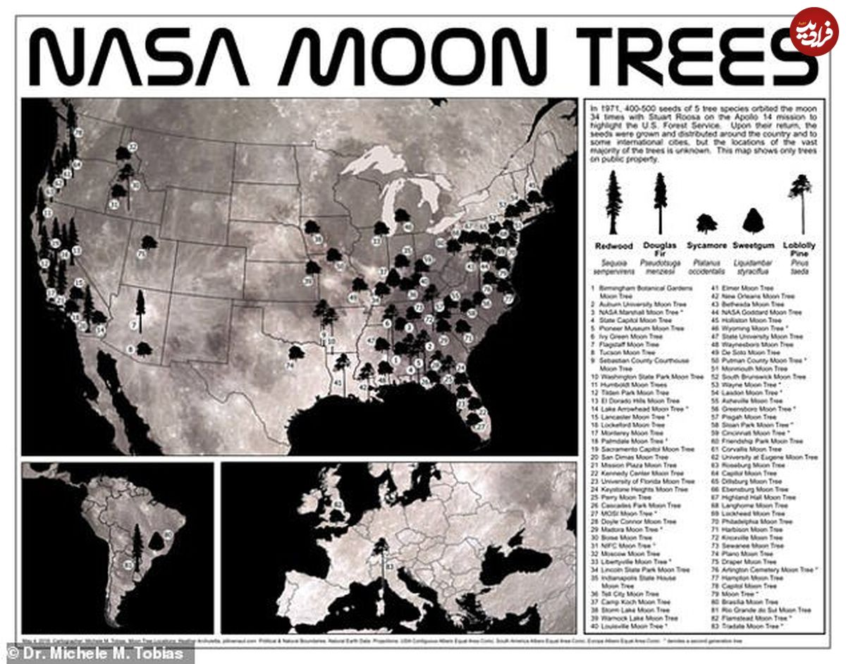 ناسا نقشه درختانِ ماه را منتشر کرد