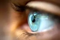 برای اولین بار ویروس حیوانات آبزی در چین به انسان‌ها منتقل شده است