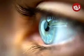 برای اولین بار ویروس حیوانات آبزی در چین به انسان‌ها منتقل شده است