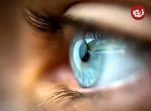 برای اولین بار ویروس حیوانات آبزی در چین به انسان‌ها منتقل شده است