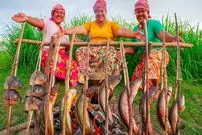 ببینید| غذای روستایی در سنگاپور؛ صید ماهی و کباب کردن آن در کنار شالیزار