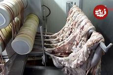 (ویدئو) فرآیند تولید سوسیس و کالباس در کارخانه های معروف