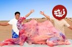 ببینید؛ غذای روستایی در امارات؛ کباب کردن شتر کامل توسط آشپزهای هندی در دبی
