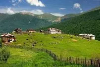 عکس| سفر زمان؛ اهالی کلاردشت که به دیدن اردوی ناصرالدین شاه آمده بودند؛ 160 سال قبل