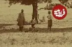عکس| سفر زمان؛ استراحت زیر درختان زیتون در رودبار؛ 140 سال قبل