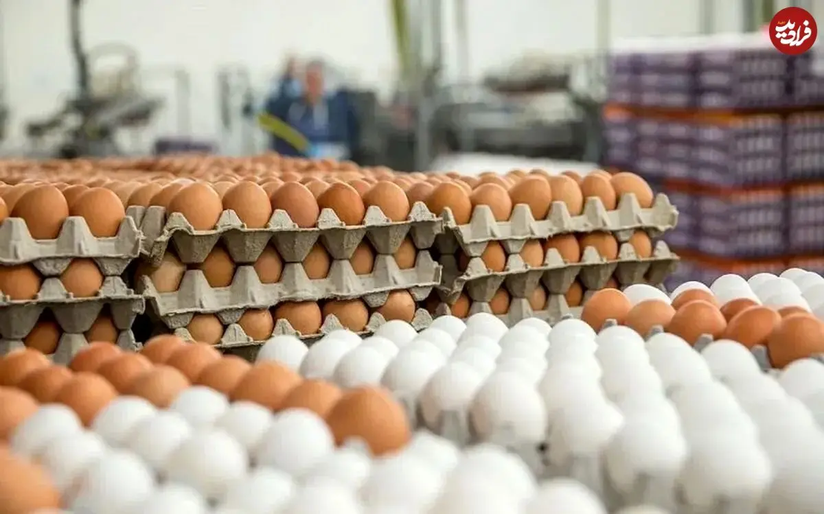 قیمت یک شانه تخم‌مرغ به ۲۴۵ هزار تومان رسید