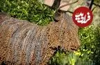 10 اثر هنری خاص که از «مواد غیرمنتظره» ساخته شده‌اند