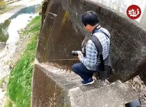 عکس| ترسناک‌ترین پله در ژاپن