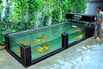 ببینید؛ مراحل دیدنی ساخت یک آکواریوم شیشه ای در حیاط خانه