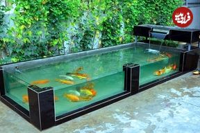 ببینید؛ مراحل دیدنی ساخت یک آکواریوم شیشه ای در حیاط خانه
