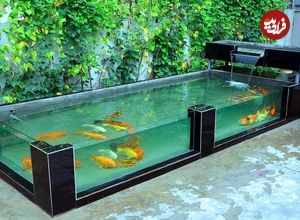 ببینید؛ مراحل دیدنی ساخت یک آکواریوم شیشه ای در حیاط خانه