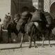 عکس| سفر زمان؛ منظرۀ «دروازه قزوین» تهران در دوران قاجار