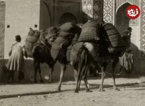 عکس| سفر زمان؛ منظرۀ «دروازه قزوین» تهران در دوران قاجار