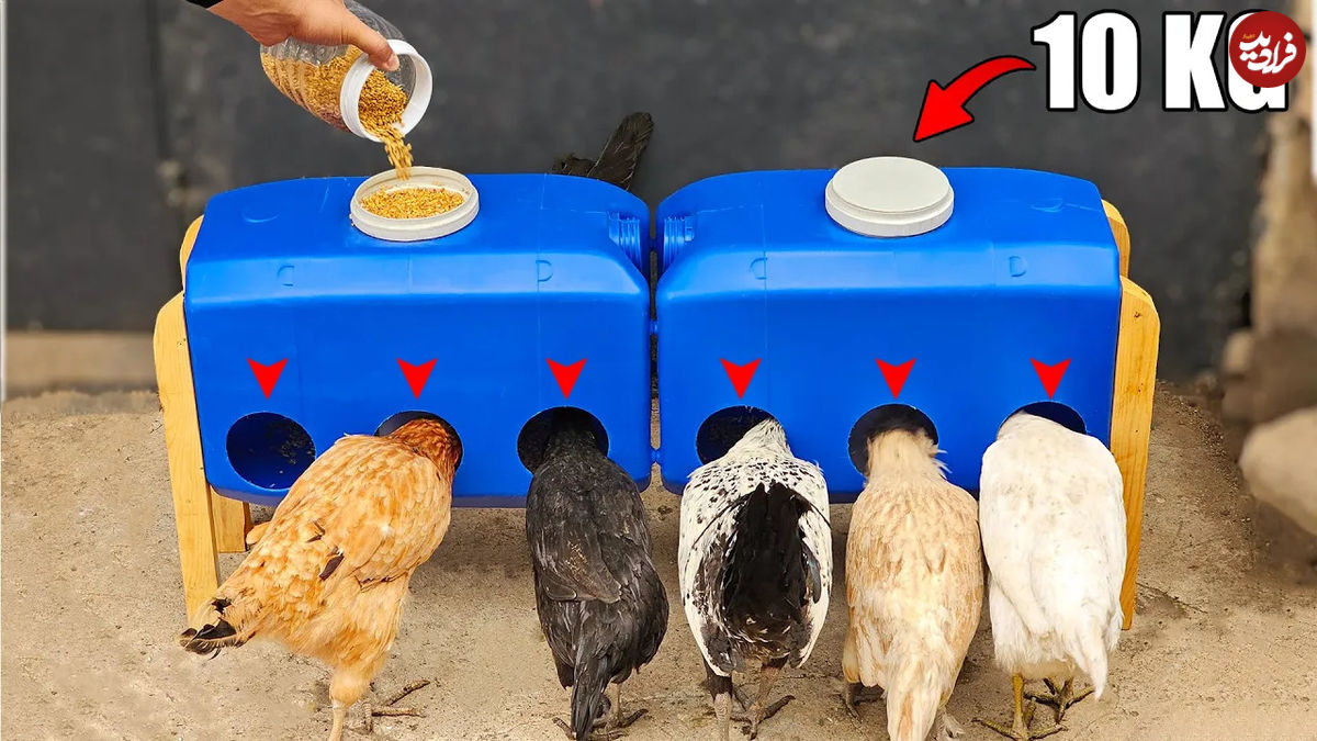 (ویدئو) نحوه ساخت یک دانخوری ارزان برای مرغ با بطری های 20 لیتری پلاستیکی 
