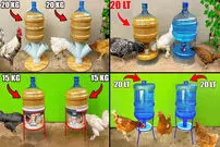 (ویدئو) ایده های آسان و جالب برای ساخت آبخوری مرغ با ظروف و بطری پلاستیکی