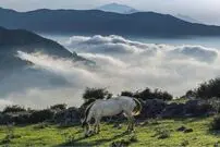 روستا گردی هیجان انگیز در اطراف تابستان داغ تهران: از «افجه» تا «فیلبند»