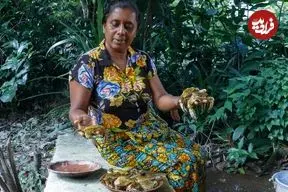 ببینید| غذای روستایی در سریلانکا؛ پخت یک غذای سنتی با خرچنگ، گل کلم و ادویه