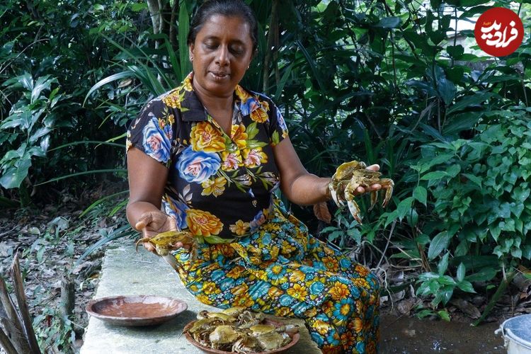ببینید| غذای روستایی در سریلانکا؛ پخت یک غذای سنتی با خرچنگ، گل کلم و ادویه