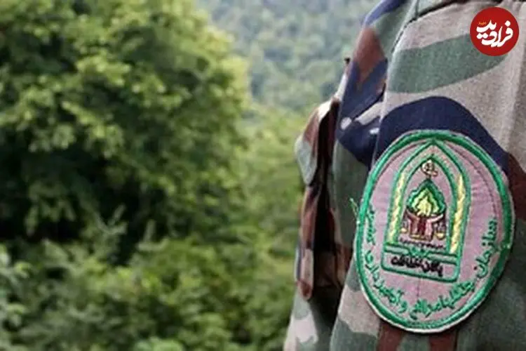 روایت جنگل‌بانی که زیر باران موشک از خاک و درخت دفاع می‌کند؛ جان می‌دهیم تا زاگرس زنده بماند