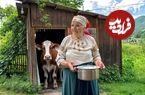 ببینید؛ غذای روستایی در اوکراین؛ پخت دلمه کلم توسط یک مادربزرگ در کوهستان کارپات