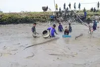 (ویدئو) احمقانه ترین ماهیگیری سال؛ خالی کردن آب حوضچه طبیعی بزرگ برای گرفتن ماهی!