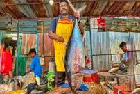 ببینید| مهارت ماهی فروش هندی در برش زدن ماهی تن 25 کیلوگرمی