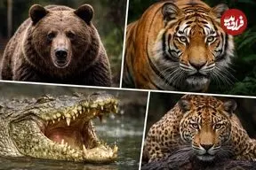 بررسی کامل و شوکه‌کننده آمار حملات خرس قهوه‌ای و پلنگ ایرانی تا تمساح نیل و ببر‌های آدم‌خوار؛ کدام حیوان‌ها گوشت انسان را دوست دارند؟