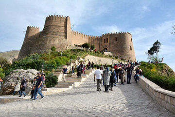 (عکس) شناسایی گونه کمیاب گربه «کاراکال» در اردستان