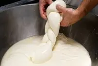 ببینید| غذای خیابانی در آمریکا؛ تهیه ساندویچ گوشت و پنیر موزارلا در نیوجرسی