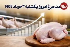 قیمت مرغ امروز یکشنبه 3 خرداد 1405
