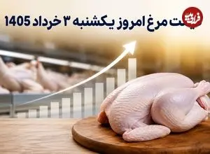 قیمت مرغ امروز یکشنبه 3 خرداد 1405