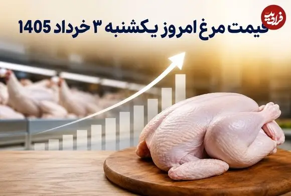 قیمت مرغ امروز یکشنبه 3 خرداد 1405