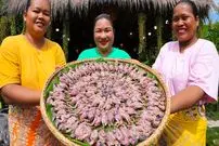 ببینید| غذای روستایی در سنگاپور؛ کباب کردن 100 بلدرچین در تنور زیر زمینی